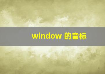 window 的音标